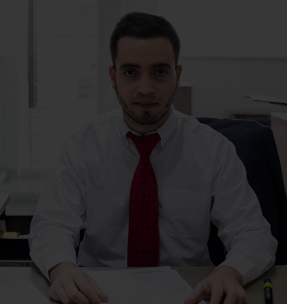 Auditor Interno